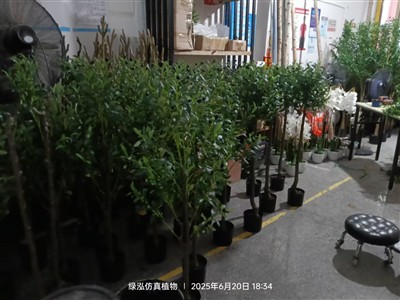 Το ελαιόλαδο που έχει παραγγείλει ο Γάλλος Πελάτης βρίσκεται επί του παρόντος...